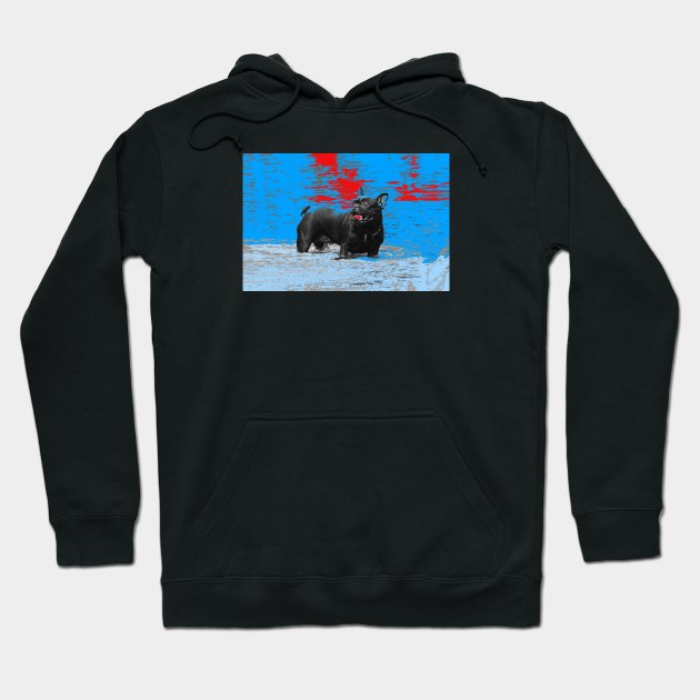 Black dog / Swiss Artwork Photography Hoodie by RaphaelWolf